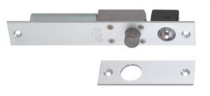 Electric Bolt Locks