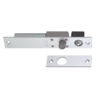 Electric Bolt Locks